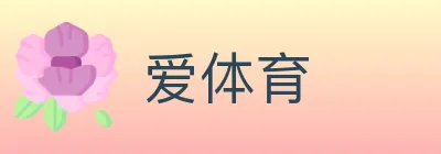 爱体育 logo